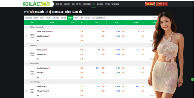 Building a Community of Informed Supporters